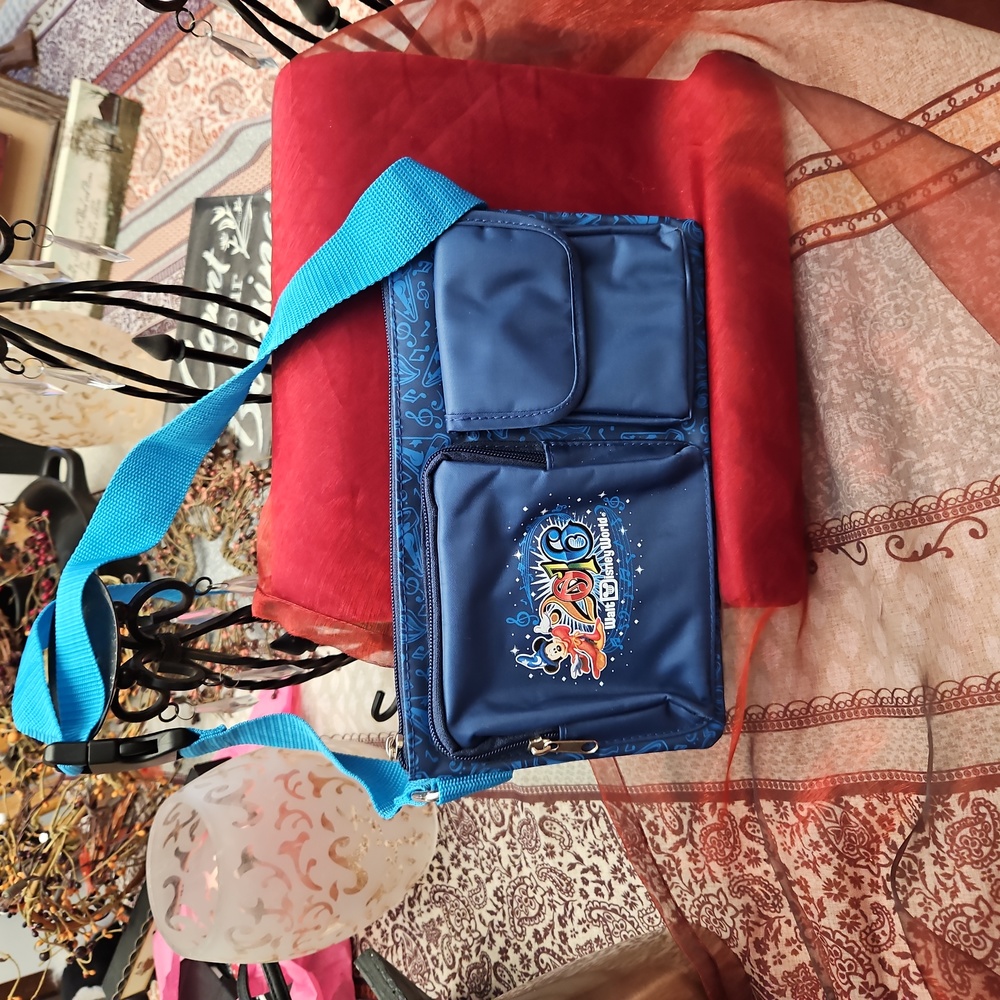 Disney World bag